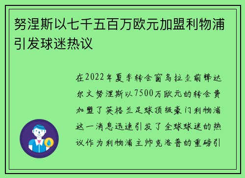 努涅斯以七千五百万欧元加盟利物浦引发球迷热议