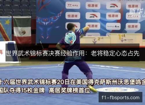 世界武术锦标赛决赛经验作用：老将稳定心态占先